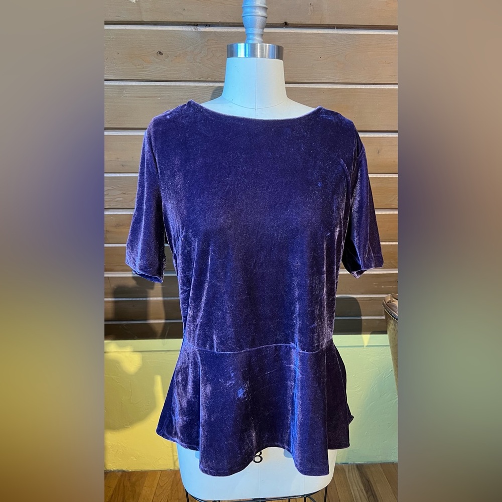 Banana Republic washable stretch velvet short sleeve top